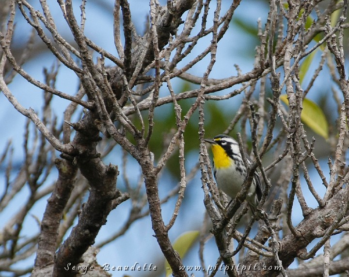 2009-01-04 12-42-38__MG_9674.JPG